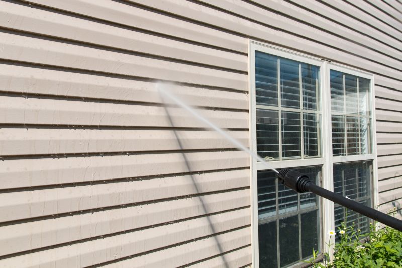 Siding Cleaning detail