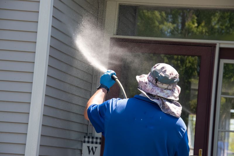 Siding Cleaning detail
