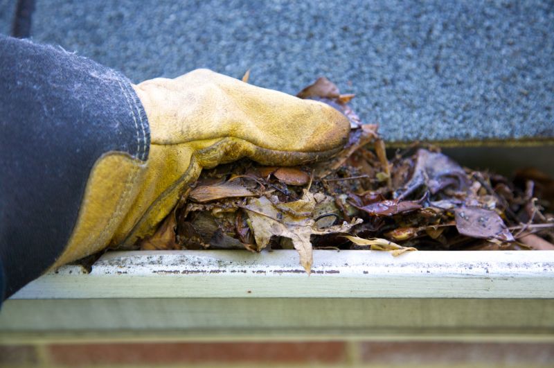 Gutter Cleaning in Boulder, CO