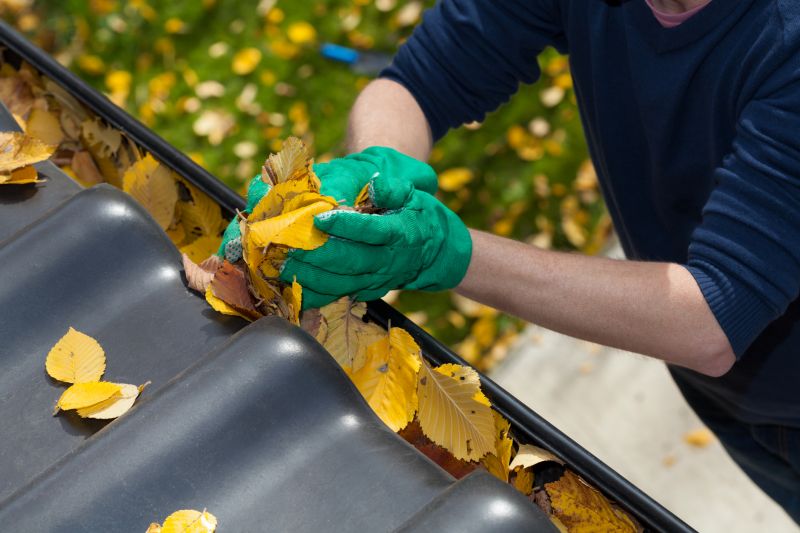 Gutter Leaf Clearing in Frederick, MD