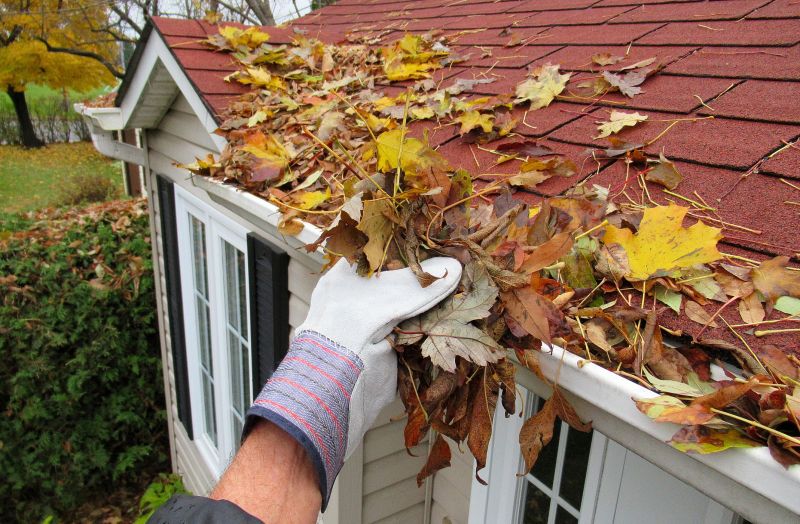 Gutter Leaves Removal in Longmont, CO