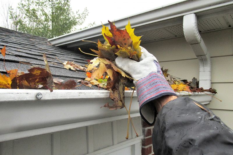 Gutter Pine Needle Removal in Boulder, CO