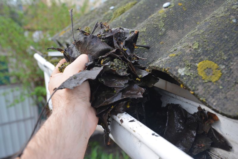 Roof Gutter Cleaning in Bergen County, NJ
