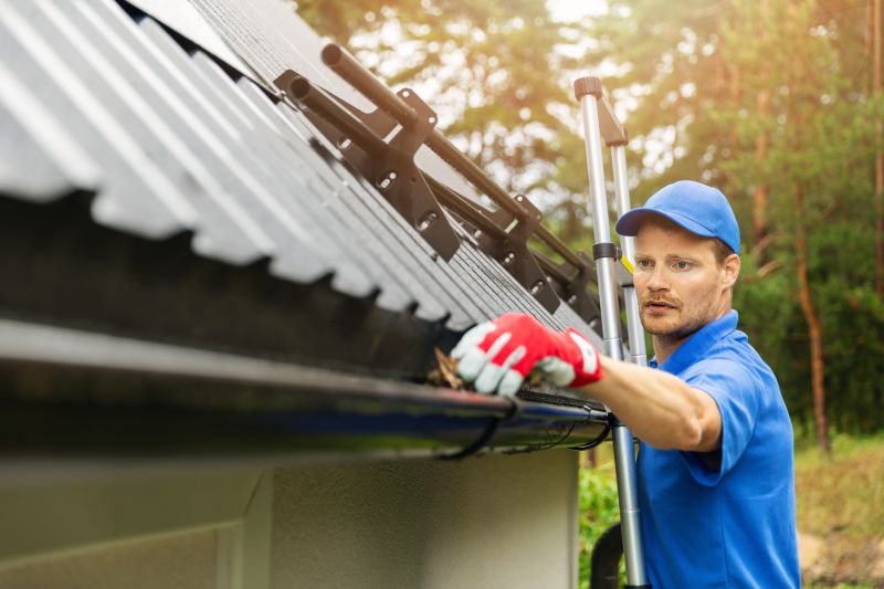 Roof Gutter Cleaning in Annapolis, MD