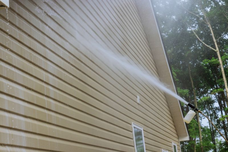 Siding Cleaning